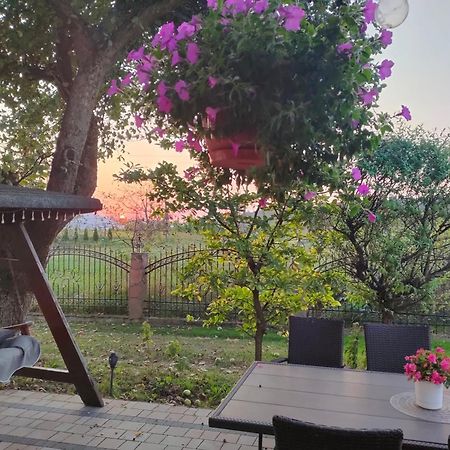 Apartamenty U Maksa Krzywcza 외부 사진